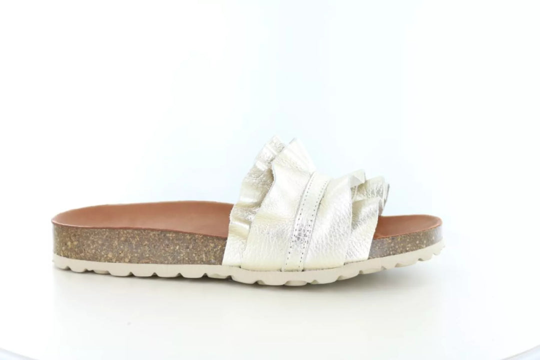 Verbenas Verbenas Rocio