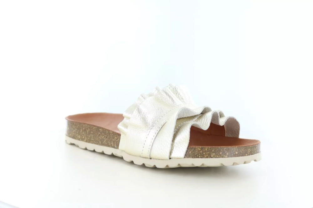 Verbenas Verbenas Rocio