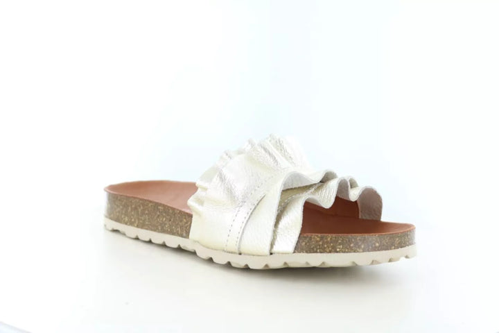 Verbenas Verbenas Rocio