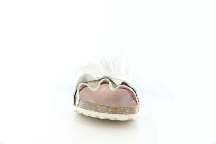 Verbenas Verbenas Rocio