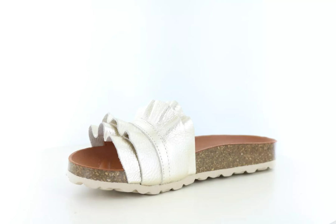 Verbenas Verbenas Rocio