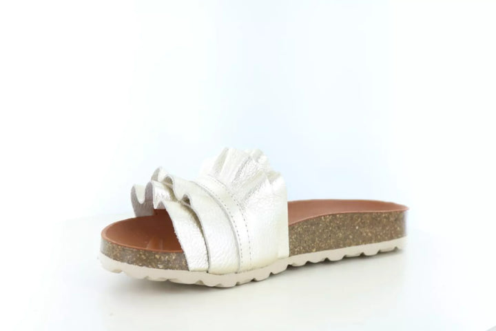 Verbenas Verbenas Rocio