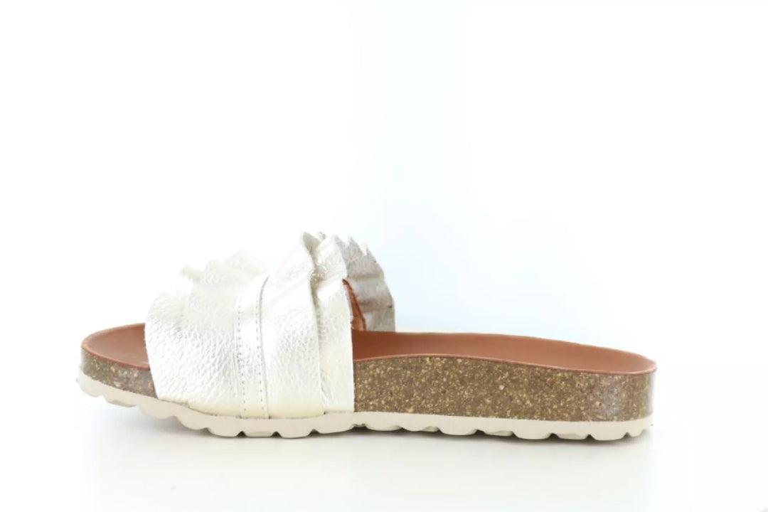 Verbenas Verbenas Rocio