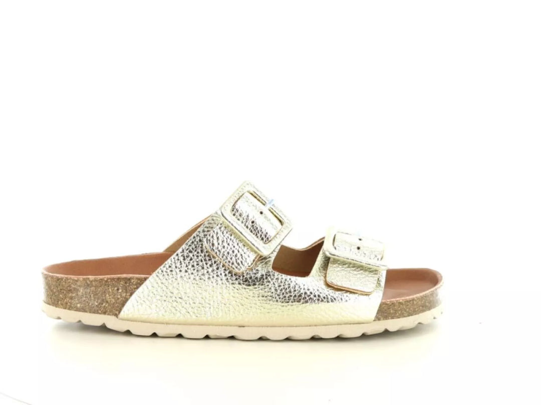 Verbenas Verbenas Randell