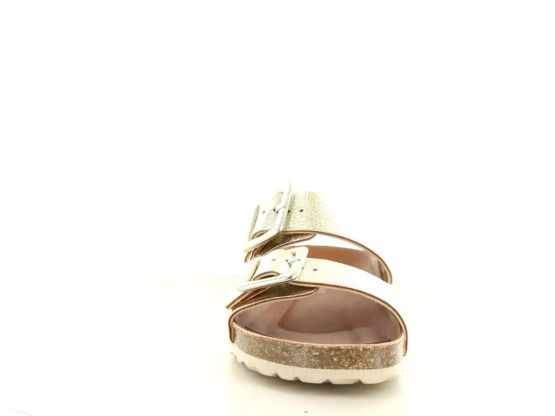 Verbenas Verbenas Randell