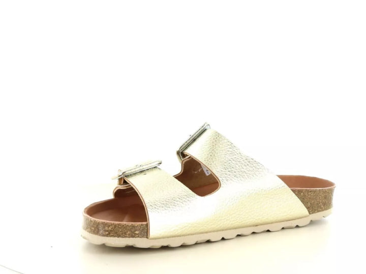 Verbenas Verbenas Randell