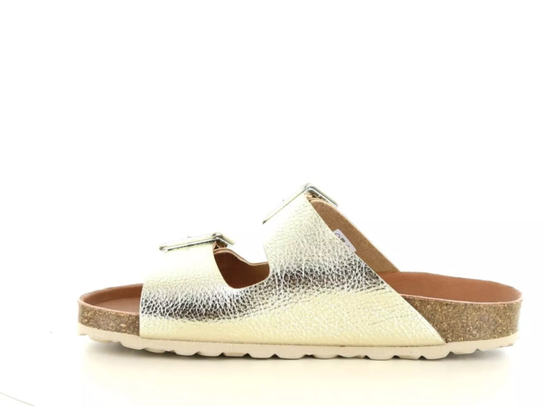 Verbenas Verbenas Randell