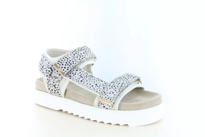 Maruti Maruti Beau