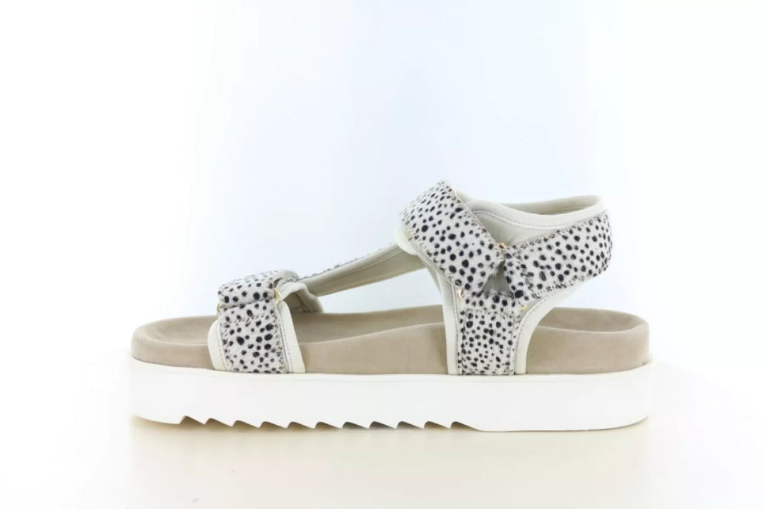 Maruti Maruti Beau