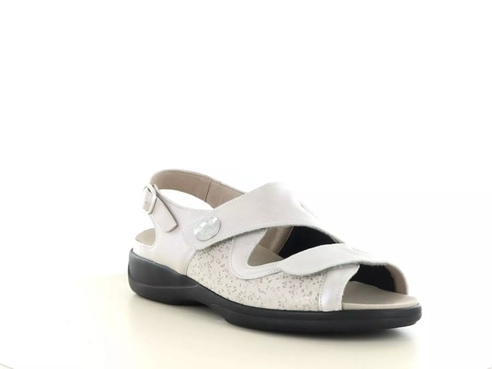 Solidus Solidus 73500 wijdte H