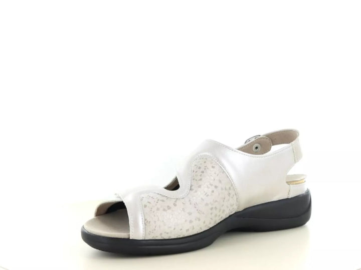 Solidus Solidus 73500 wijdte H