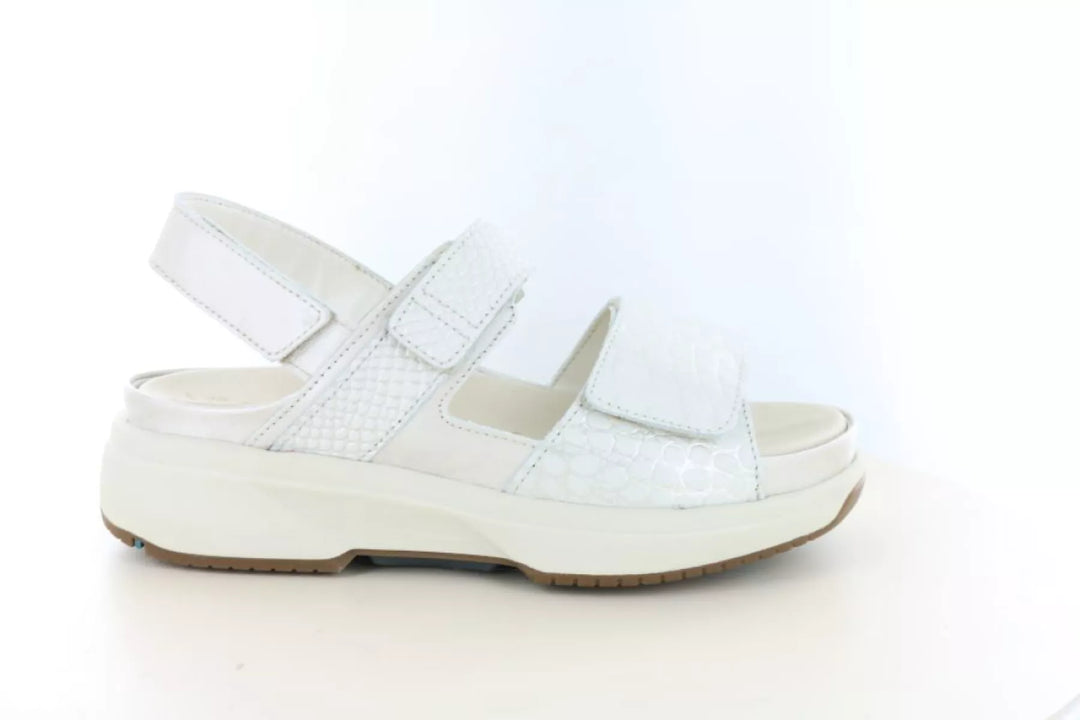 Xsensible Xsensible 30700.5 wijdte H