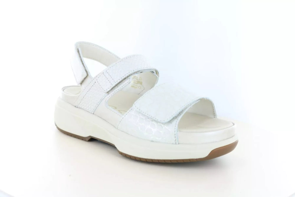 Xsensible Xsensible 30700.5 wijdte H