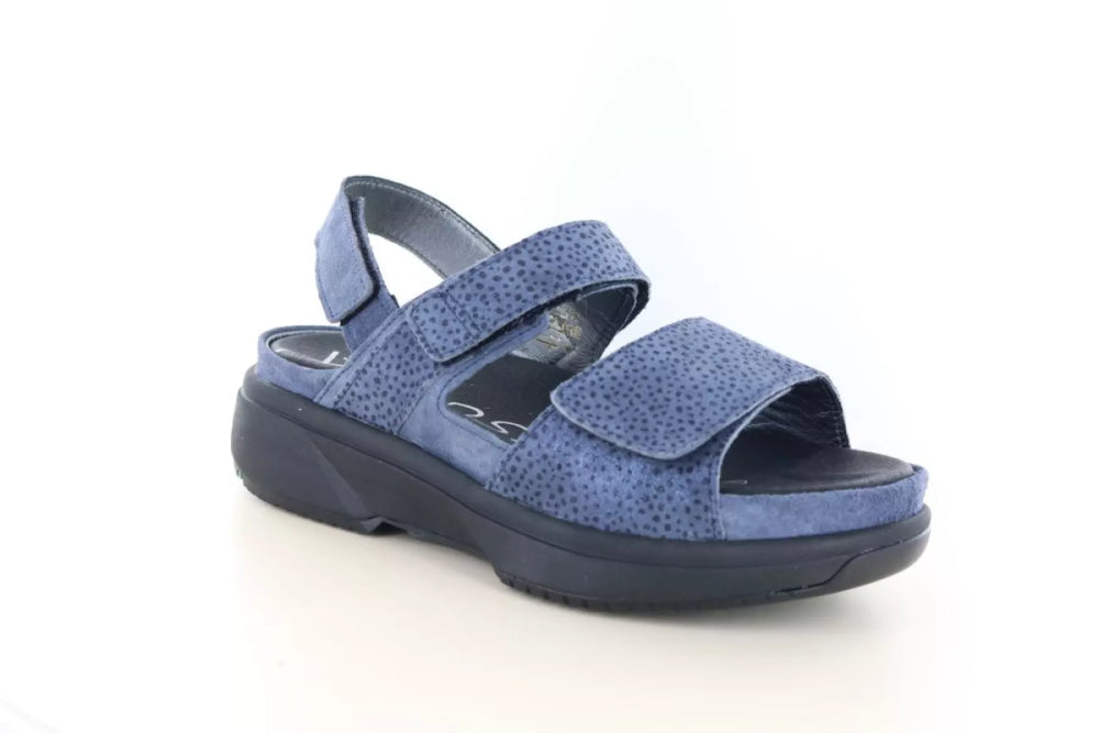 Xsensible Xsensible 30700.5 wijdte H