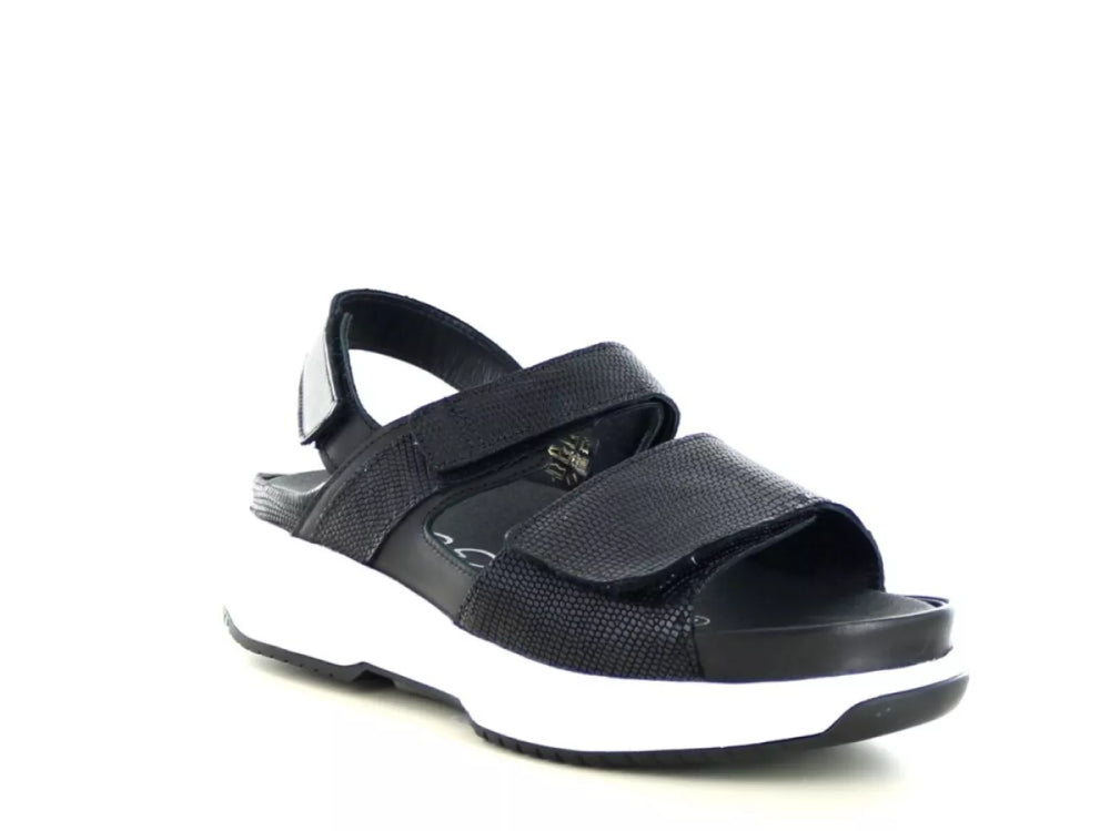 Xsensible Xsensible 30700.5 wijdte H