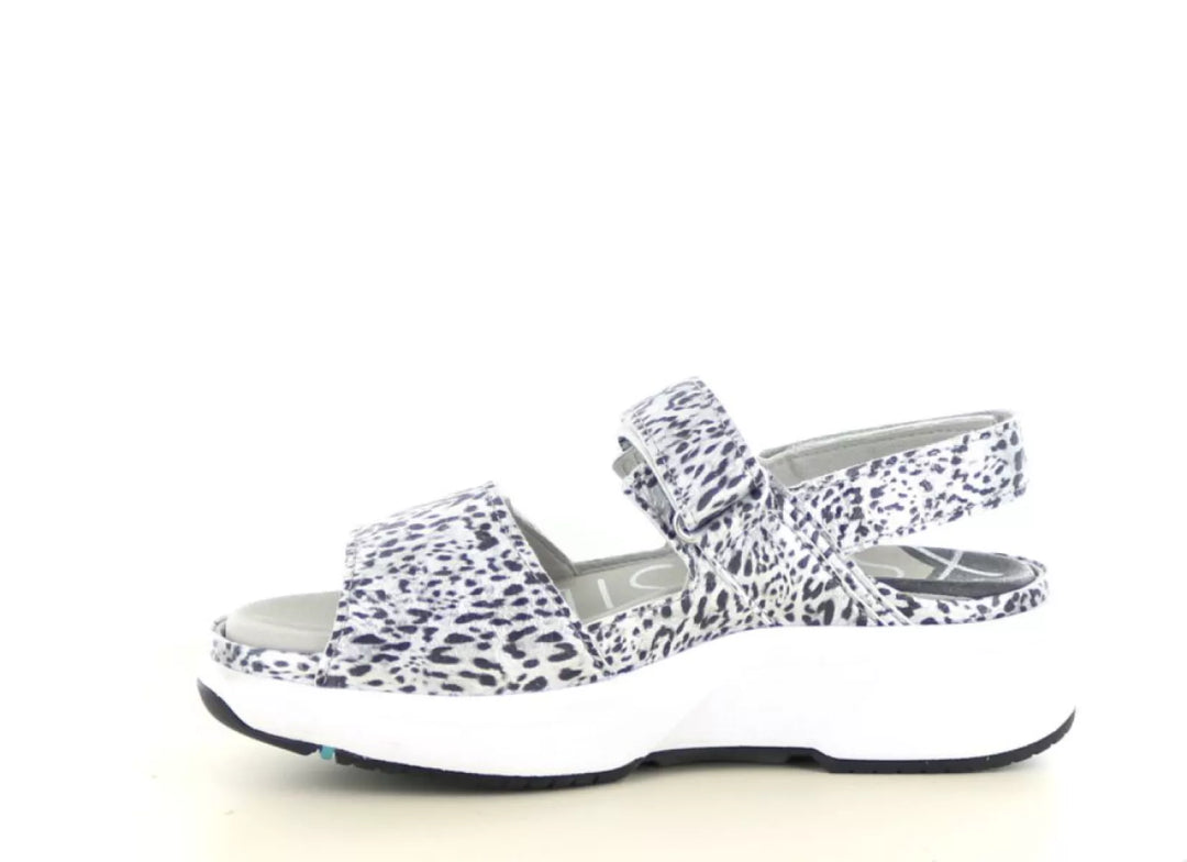 Xsensible Xsensible 30700.5 wijdte H