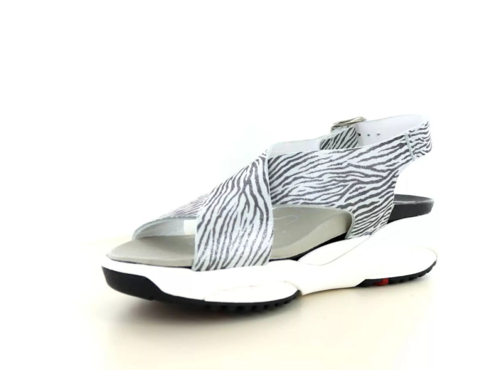 Xsensible Xsensible 30036.5 wijdte G