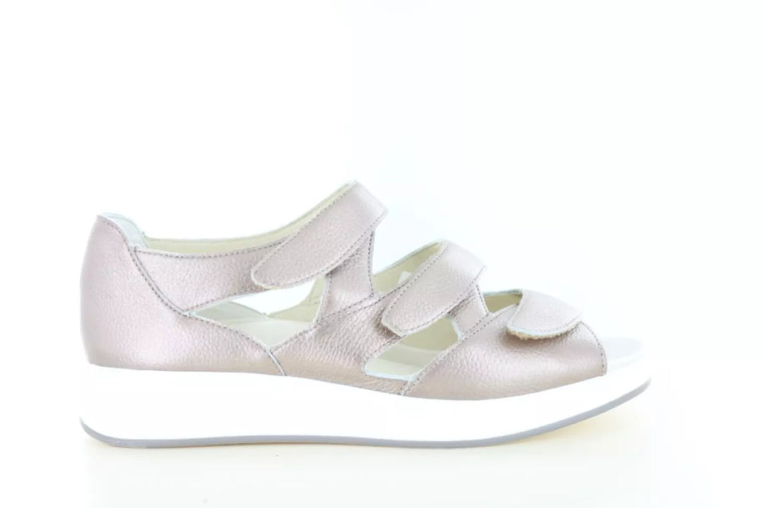 Solidus Solidus 75036 wijdte H