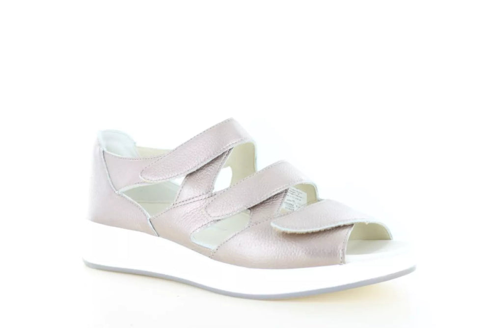 Solidus Solidus 75036 wijdte H