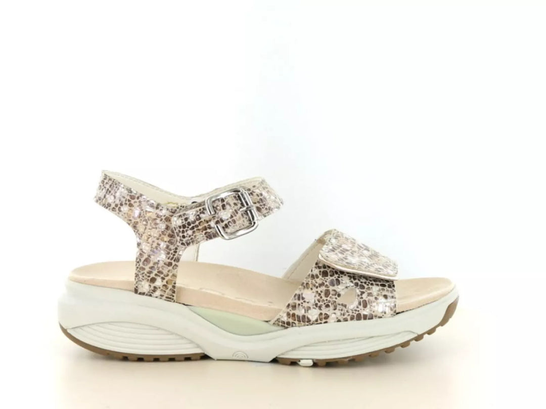 Xsensible Xsensible 30312.5 wijdte H