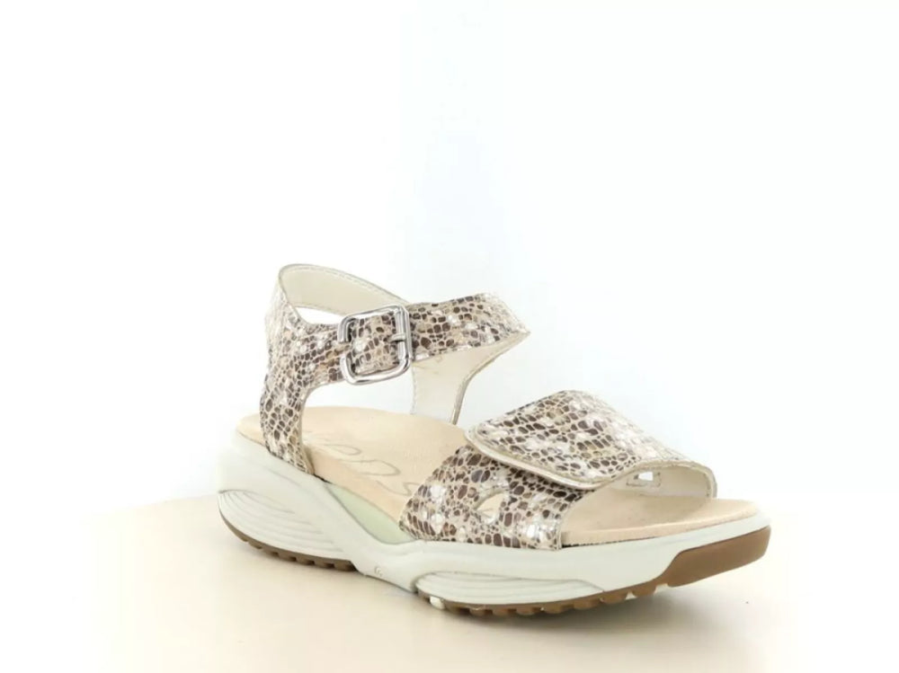 Xsensible Xsensible 30312.5 wijdte H