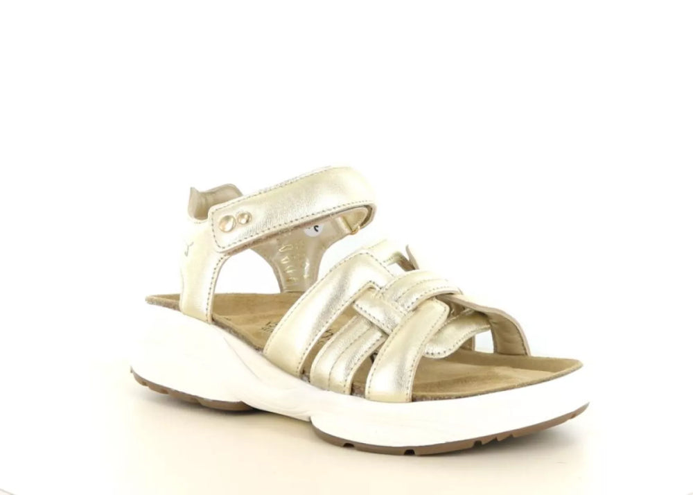 Xsensible Xsensible 30804.5 wijdte H