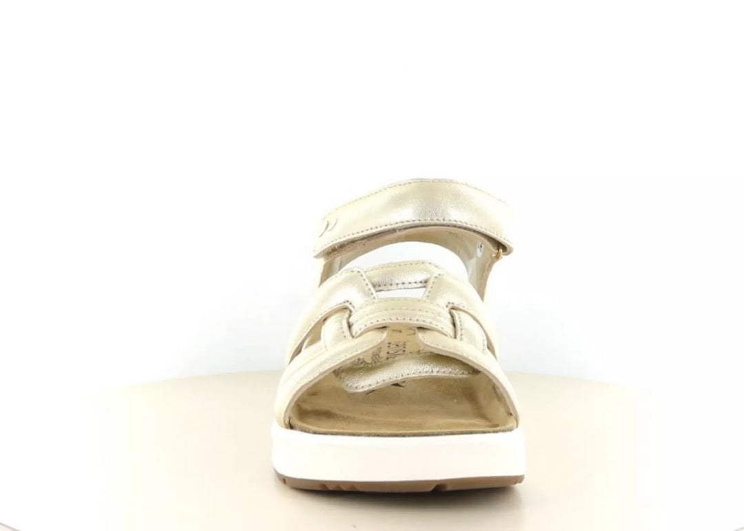 Xsensible Xsensible 30804.5 wijdte H