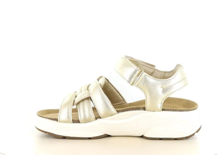 Xsensible Xsensible 30804.5 wijdte H