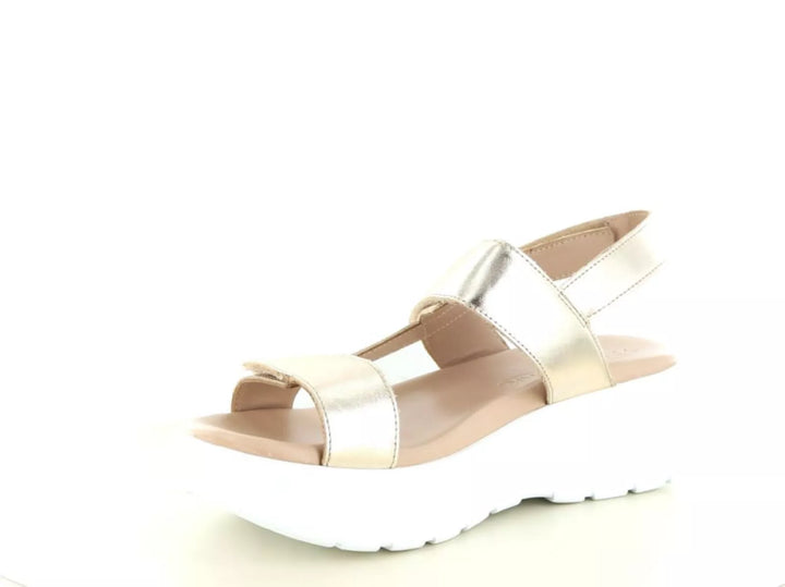 Panama Jack Panama Jack Noor Shine