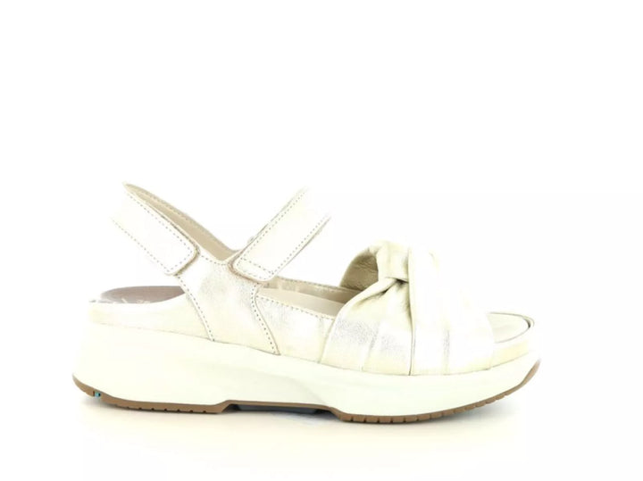 Xsensible Xsensible 30705.5 wijdte H