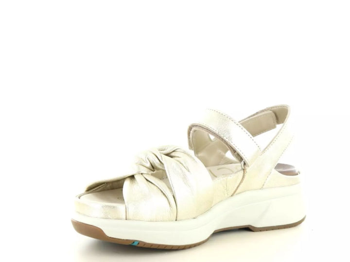 Xsensible Xsensible 30705.5 wijdte H