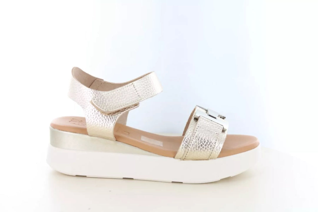 O! my Sandals O! my Sandals 5962