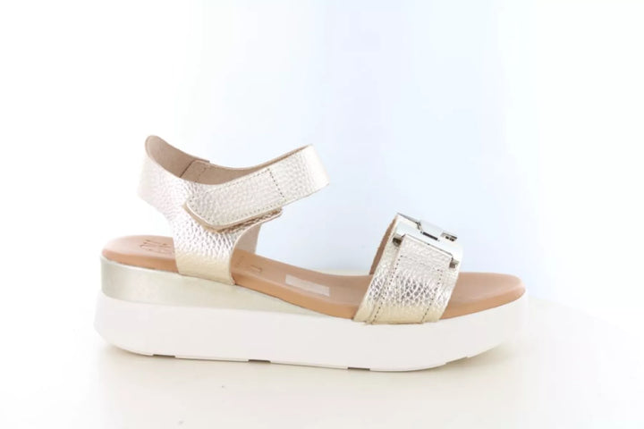 O! my Sandals O! my Sandals 5962