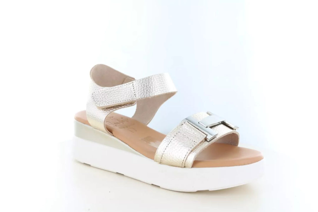 O! my Sandals O! my Sandals 5962