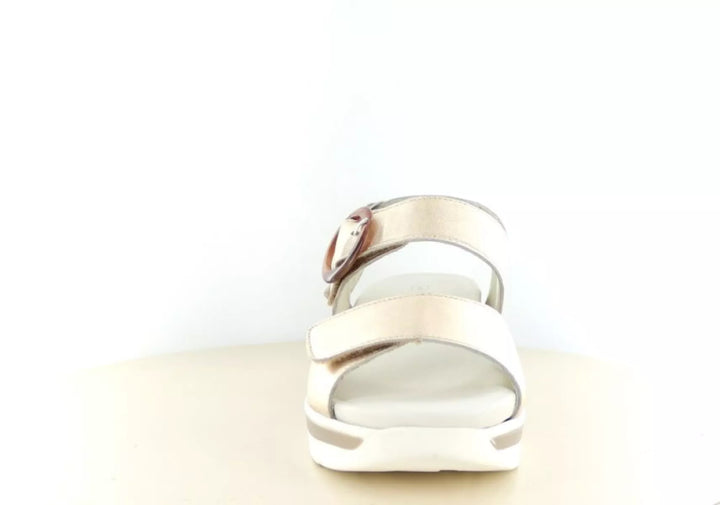 Solidus Solidus 48022 wijdte G 1/2