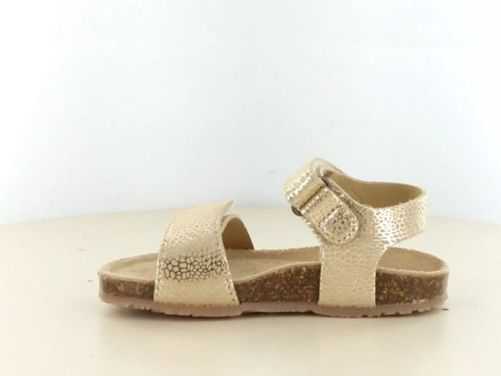 Bunnies Bunnies Bimi Beach