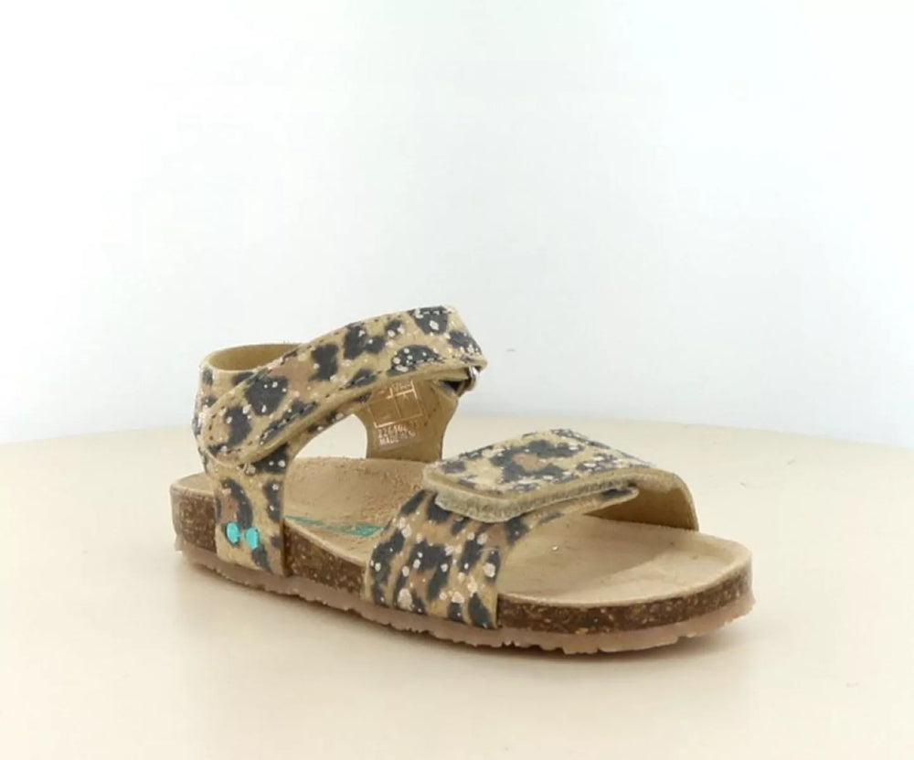 Bunnies Bunnies Bimi Beach