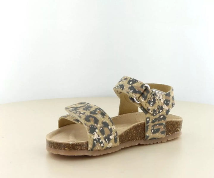 Bunnies Bunnies Bimi Beach