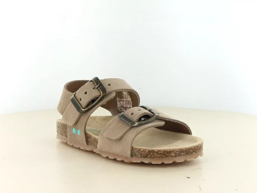 Bunnies Bunnies Bonny Beach