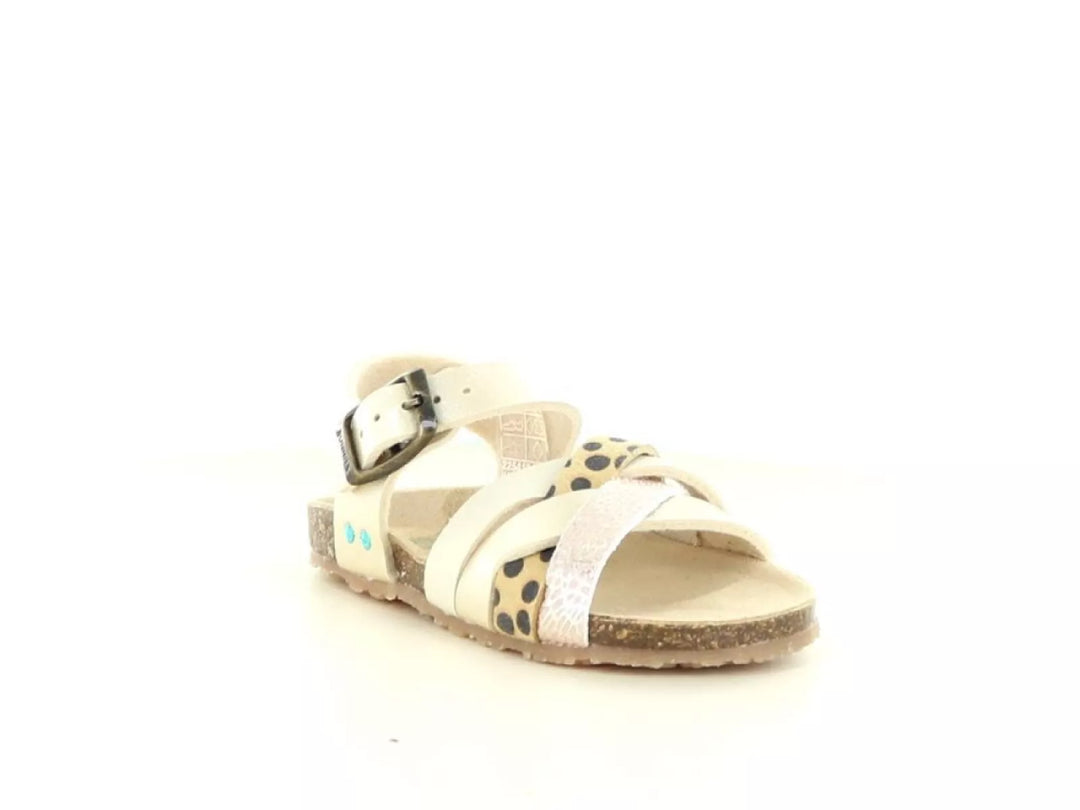 Bunnies Bunnies Becky Beach