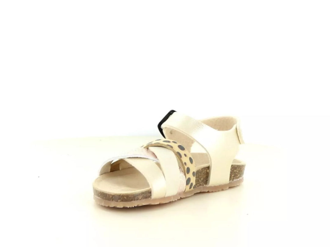 Bunnies Bunnies Becky Beach