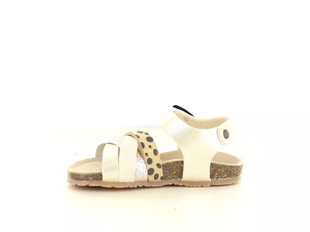 Bunnies Bunnies Becky Beach