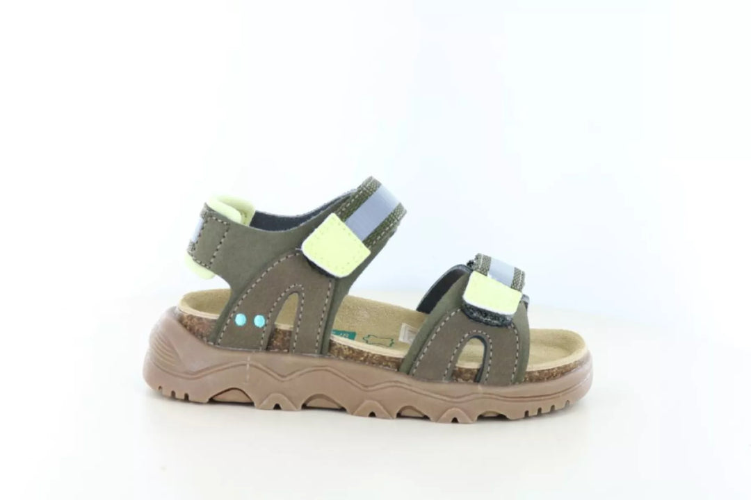 Bunnies Bunnies Robert Rock