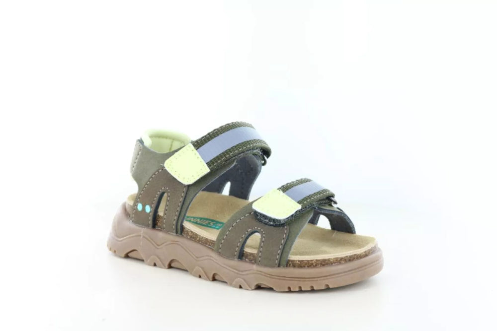 Bunnies Bunnies Robert Rock